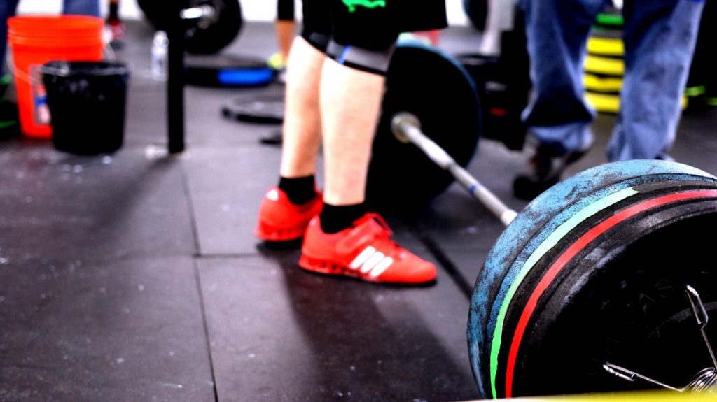 Musculation