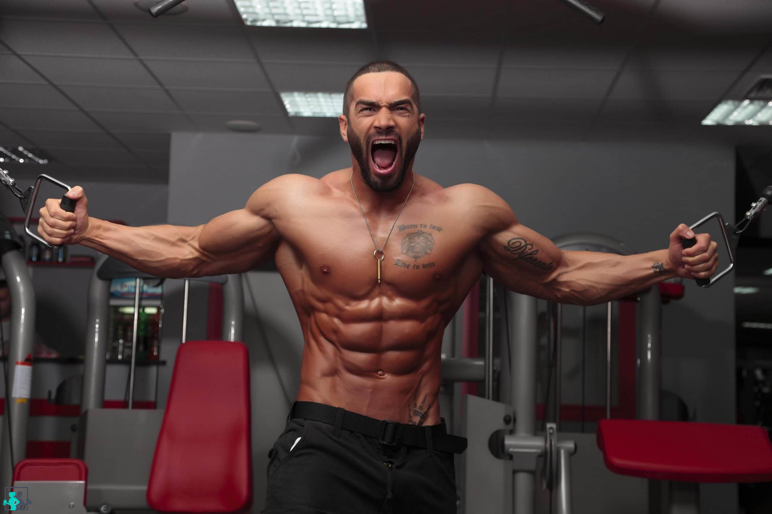 Lazar Angelov