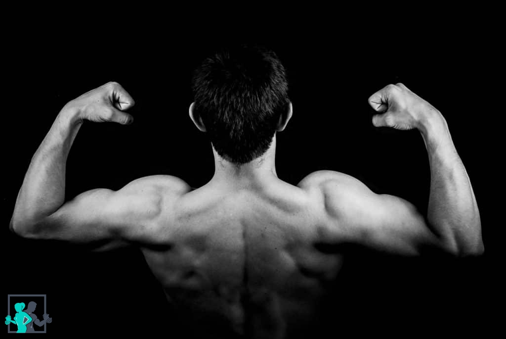 Boldenone