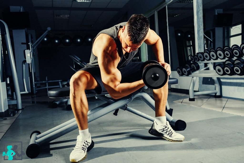 Les 8 meilleurs exercices de musculation pour les biceps