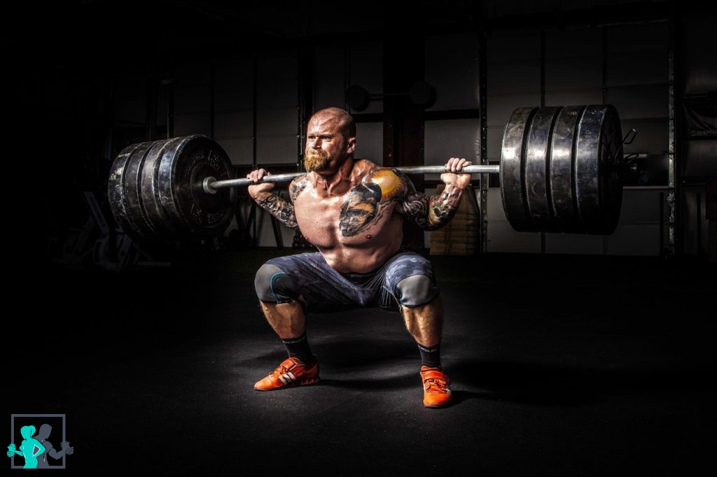 Le back squat