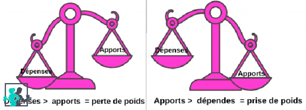 balance dépenses apports