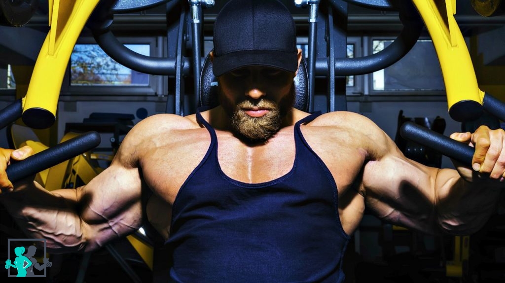 Le pec deck