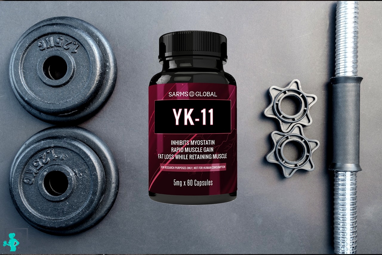 Tout savoir sur YK 11