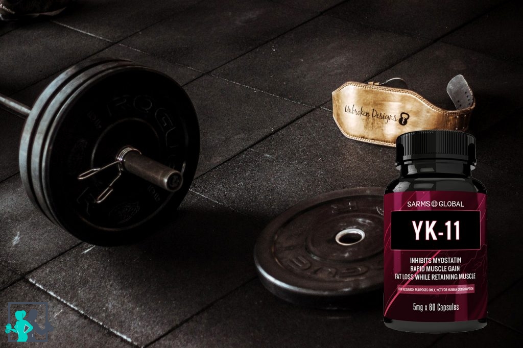 Tout savoir sur YK 11