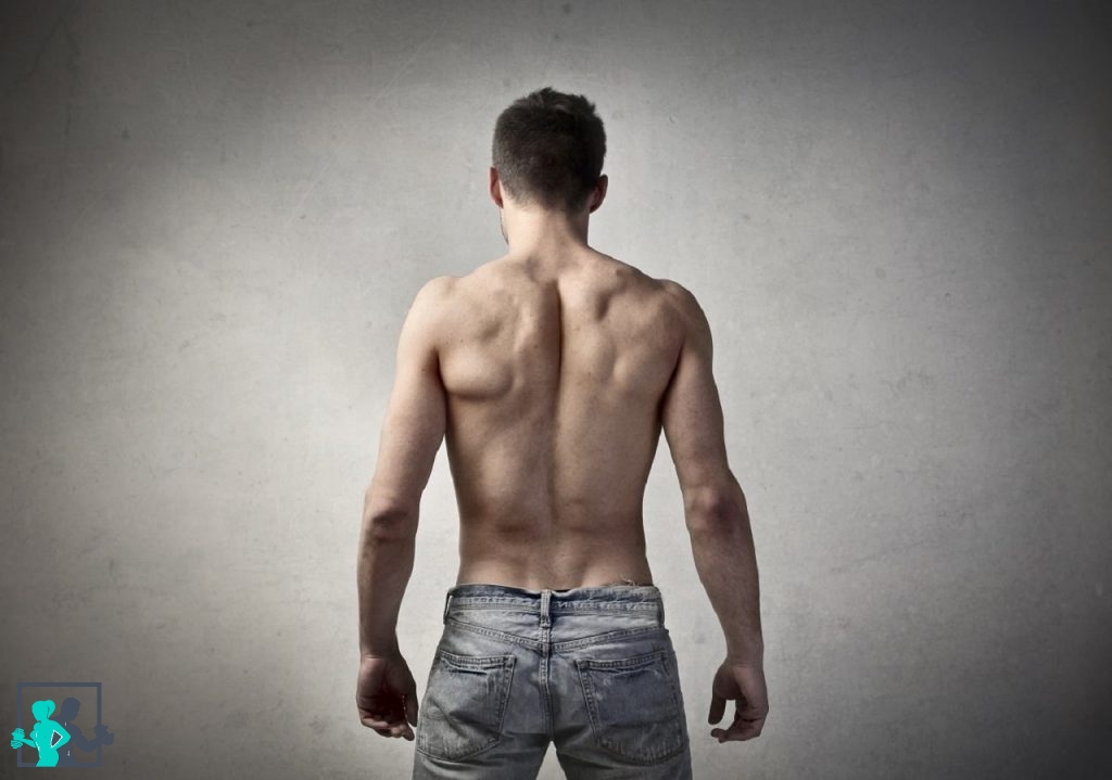 Exercices pour muscler le dos