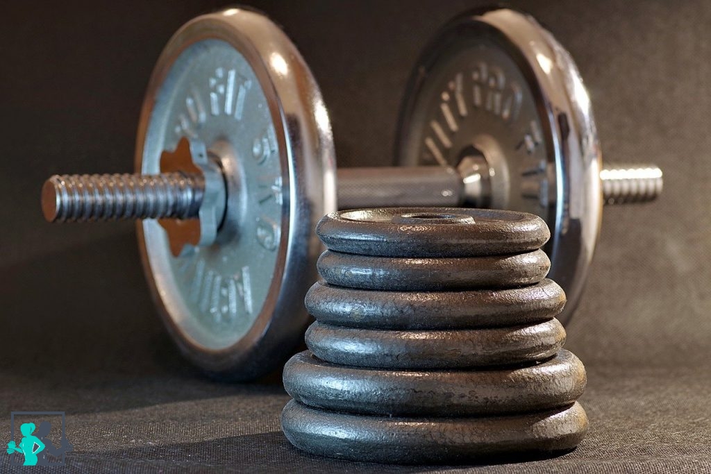 meilleurs haltères pour la musculation
