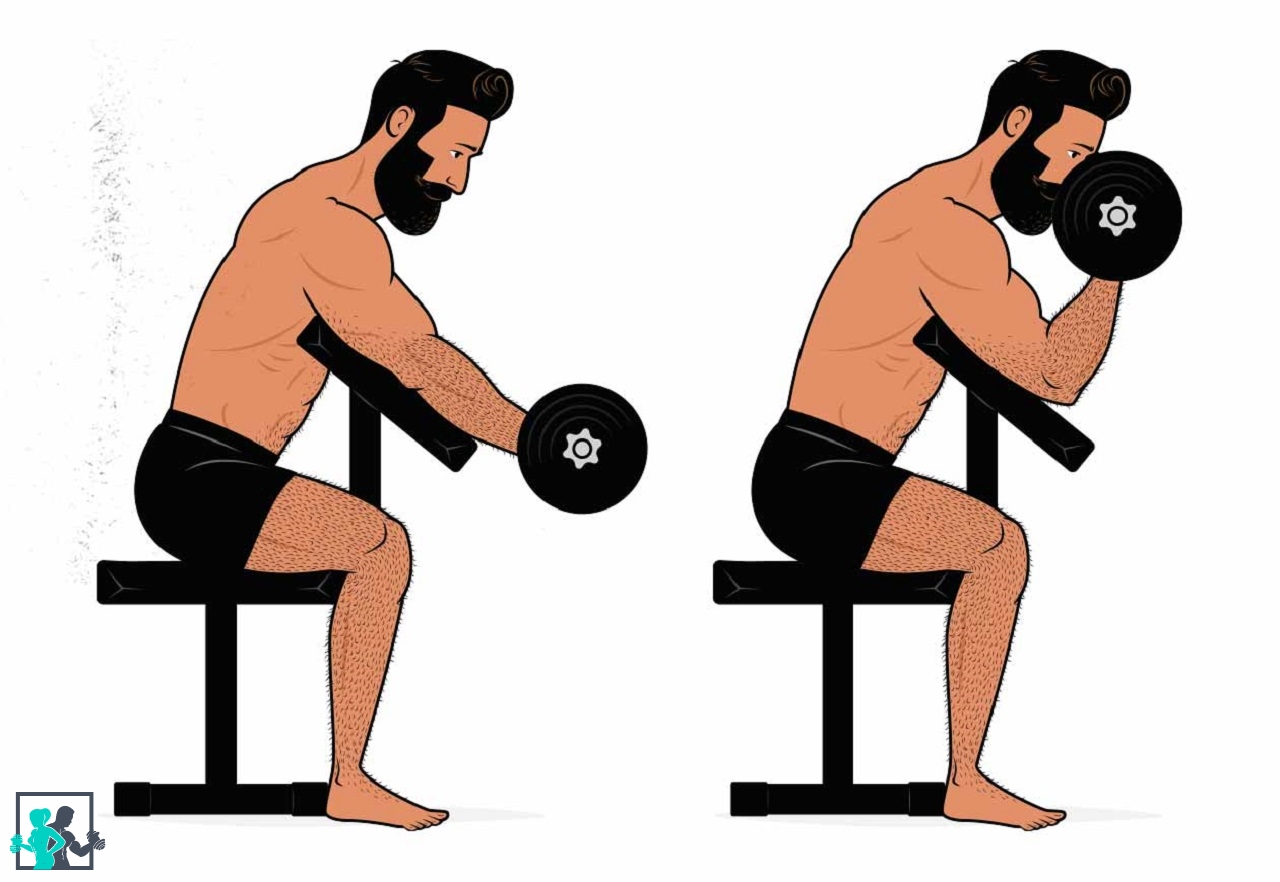 Qui est Larry Scott et en quoi consiste le Larry Scott Curl ?