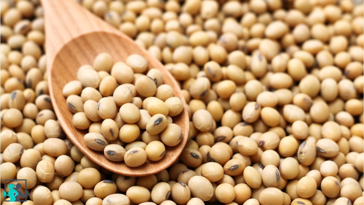 Tout savoir sur la protéine soja en musculation