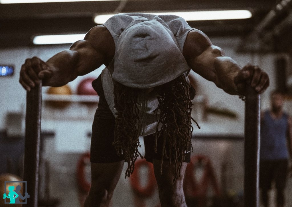 the rock physique groupe musculaire